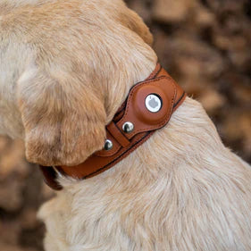 Pet Frenzy™ - Airtag Dog Collar