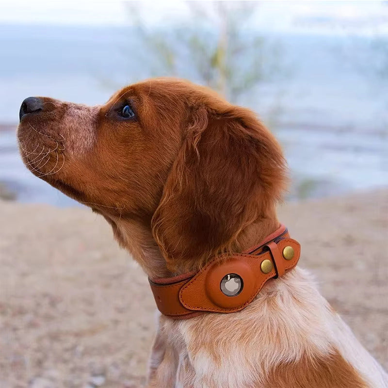 Pet Frenzy™ - Airtag Dog Collar