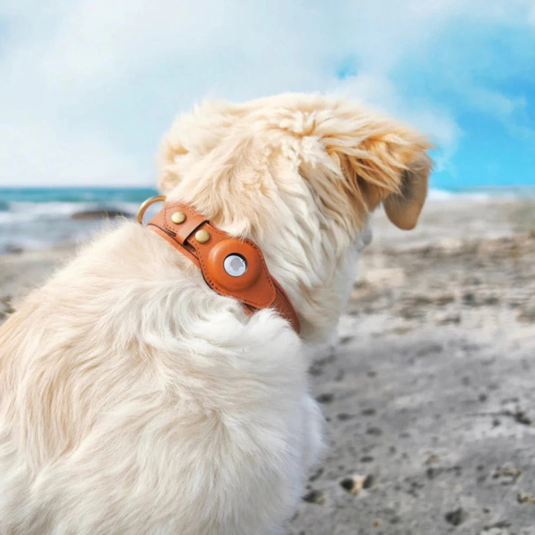Pet Frenzy™ - Airtag Dog Collar