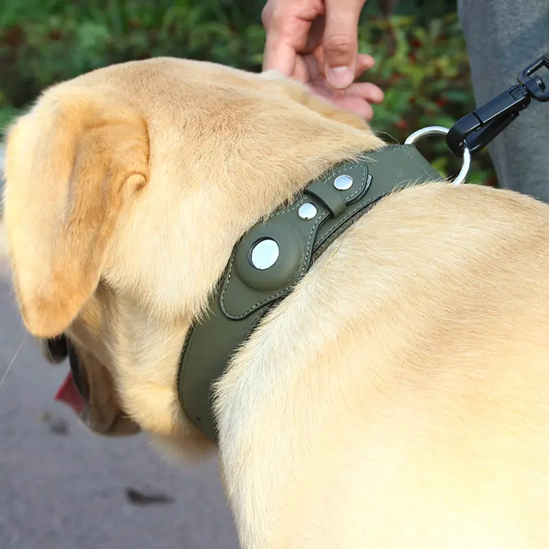Pet Frenzy™ - Airtag Dog Collar