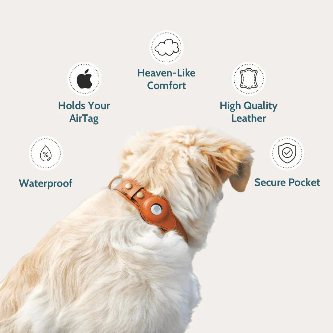 Pet Frenzy™ - Airtag Dog Collar